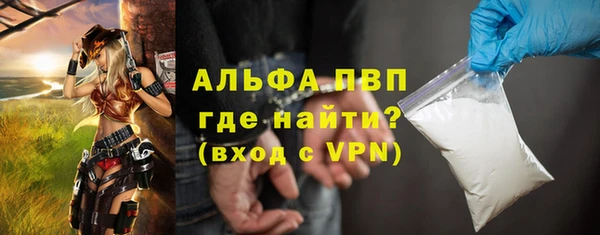 стафф Билибино
