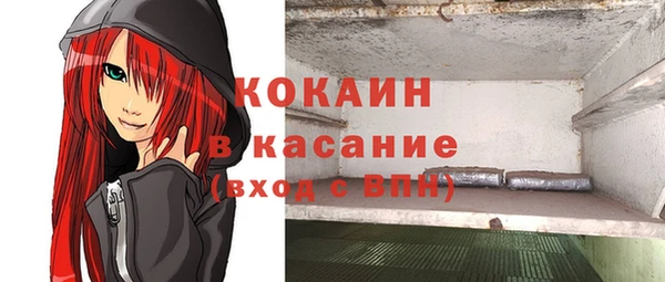 гашик Бикин
