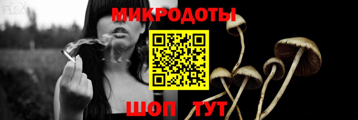 Галлюциногенные грибы Cubensis  где купить наркотик  Шуя  Вход с VPN 
